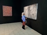 Art in the gallery