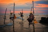 Fisherman in Sir Lanka