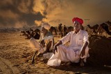Camel Lords