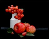 Apples and cherries