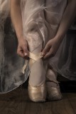 The Ballet Dancer