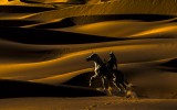 Golden Desert Ride