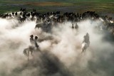 COWBOYS