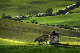 Mill on the hill