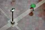 Green umbrella