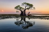 Dancing trees 9