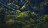 Mu Cang Chai terraced fields