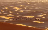 A dreaming sahara desert 02
