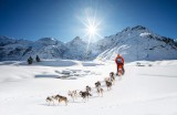 Schlittenhunde EM
