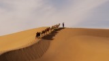 March of dreams upon golded