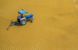 blue tractor