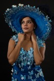 Blue-butterflies 3261