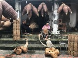 Lam Ro