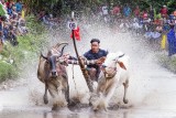 Reaching the Finish Line
