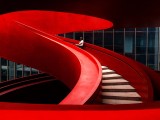 Leading red 002