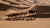 A pilgrim journeying through silence