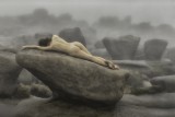 Nude on Rocks