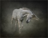 The Pale Horse