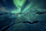 Northern Lights II