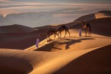 Badia Desert 4