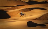 Liwa Knight 2