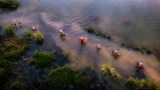 Thuong Hoa floating water season