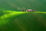 Harmony