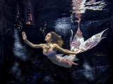 Roaming Mermaid
