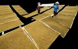 Wealthy nodes