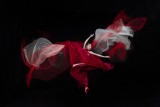 ballet 14
