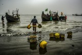 Fishermen diary 