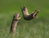 I got you