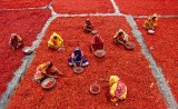 RED CHILLY WORKERS 01