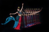 YingYing 5