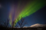 Polar light