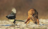 I ll catch you
