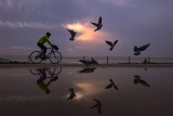 Reflection