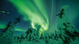 Northern Lights   433-22