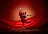 Ballerina And Geometry
