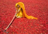 CHILLI DRYING IN INDIA