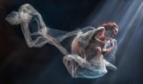 descent into Morpheus's realm