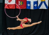 Rhythmic gymnastics 9