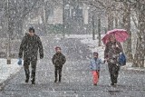 Winter afternoon