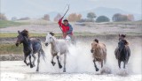 Running Horses 1