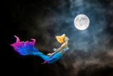 Fly to The Moon