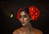 Lady Bird