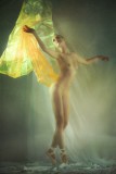 Ballerine in gold