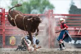 Rodeo 1