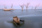Lake Bonney Dawn