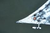 Sturgeon of Sugovica